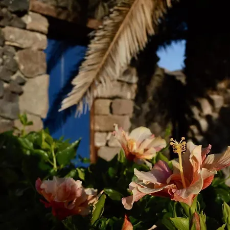 Casa Hibisco Mit Schoenem Garten 아파트 *