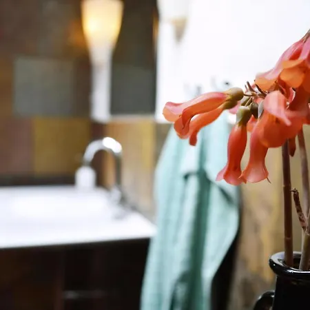 아파트 Casa Hibisco Mit Schoenem Garten Uga