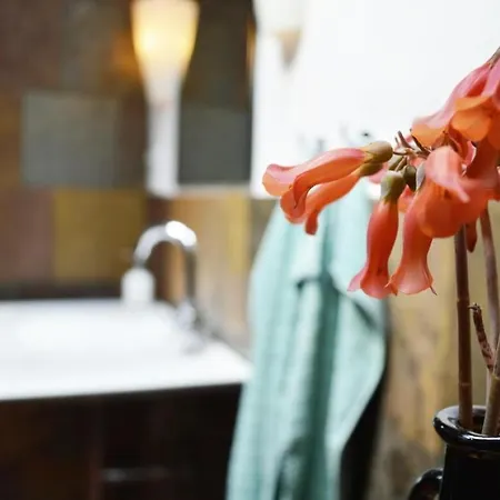 Casa Hibisco Mit Schoenem Garten Апартаменты *