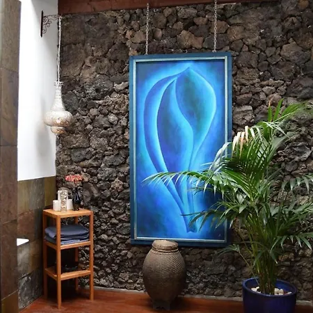 Апартаменты Casa Hibisco Mit Schoenem Garten Уга