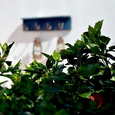 Casa Hibisco Mit Schoenem Garten Уга