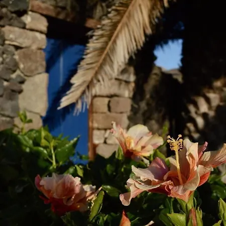 Casa Hibisco Mit Schoenem Garten Апартаменты